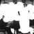 Oh_adelaide_project_0_thumb